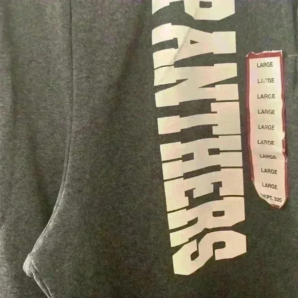 New Panther’s men’s gray sweatpantssize largewidth, spell out down leg - Picture 2 of 5